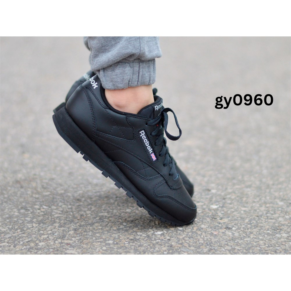 Understanding the Gy0960: A Comprehensive Overview
